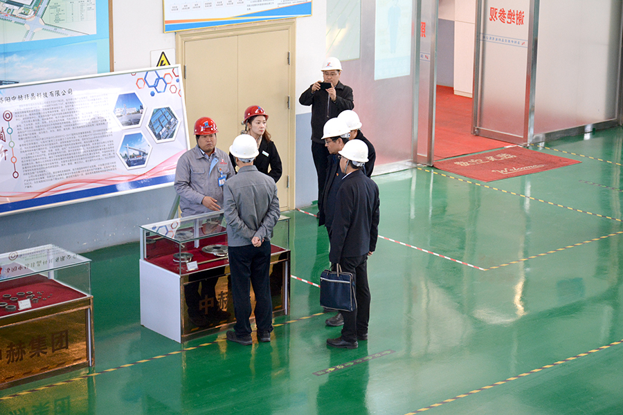Jiang Ling, member of the Standing Committee of the Henan Provincial Party Committee, visited Zhonghe Amorphous Technology