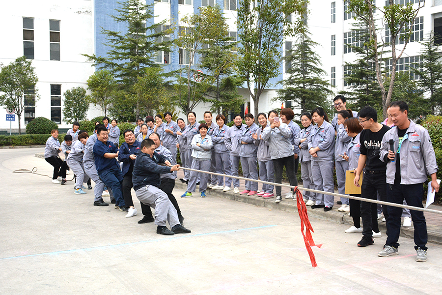 Zhonghe Amorphous Technology organizes cultural and sports activities for employees